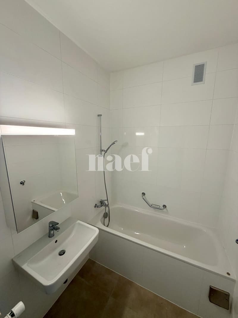 Appartement de 3 pièces entièrement rénové (6)