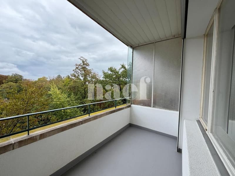 Appartement de 3 pièces entièrement rénové (7)