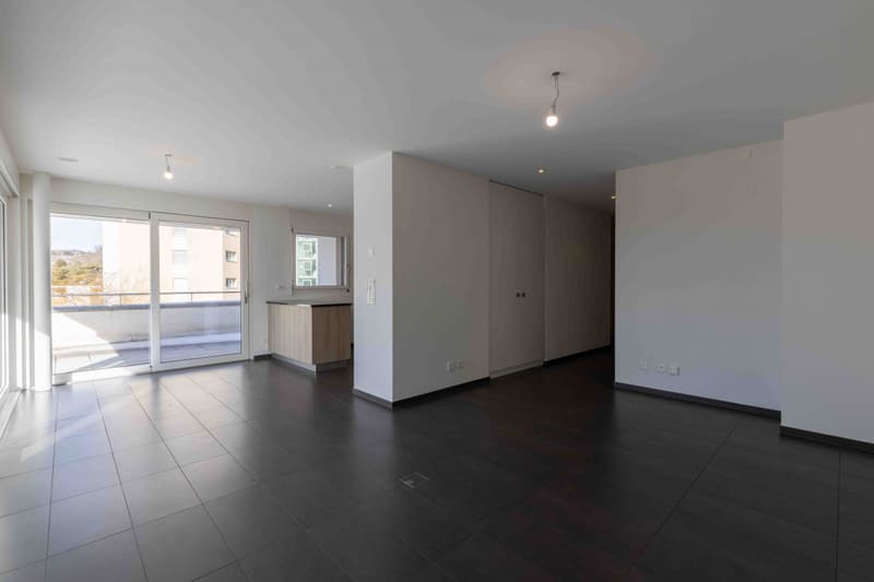 Bello appartamento 3.5 locali in zona tranquilla (2)
