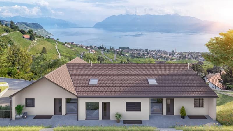 ULTIMO IMMOBILE CON VISTA PANORAMICA ! (6)