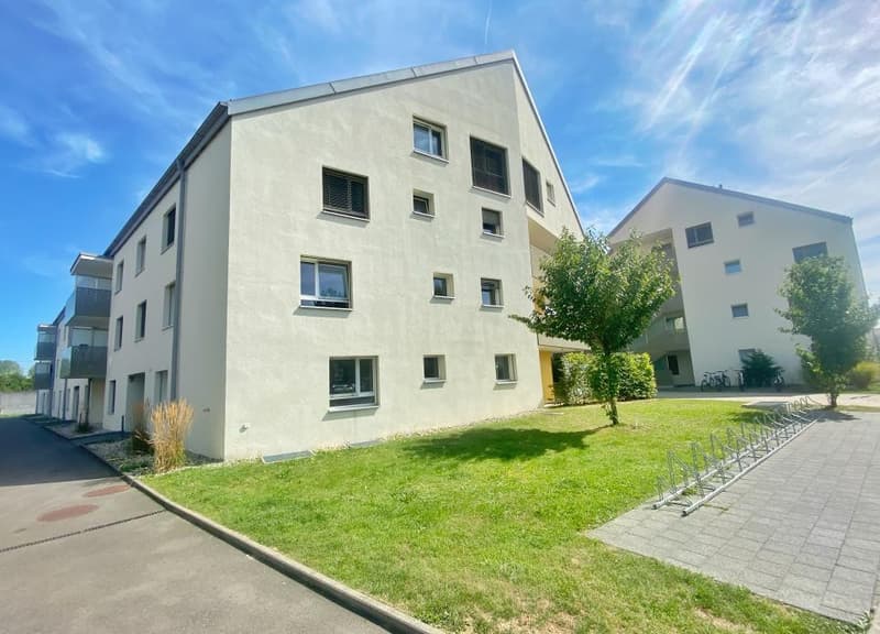 Disponibile subito, recente con giardino! (3)