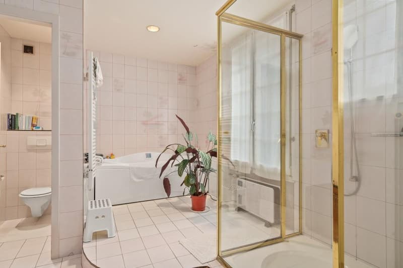 SUMPTUOUS MASTER PROPERTY (2)