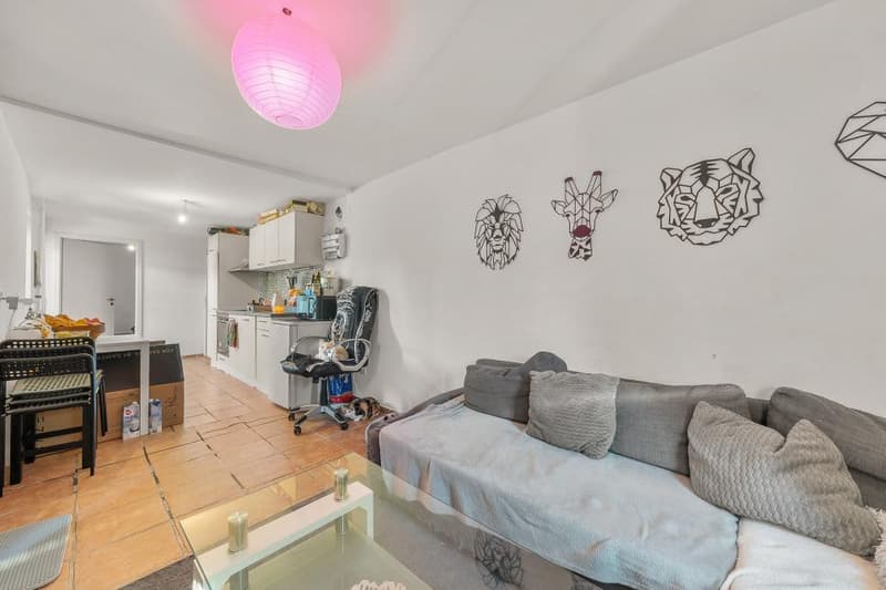 EXCLUSIVE - RENTAL PROPERTY (12)