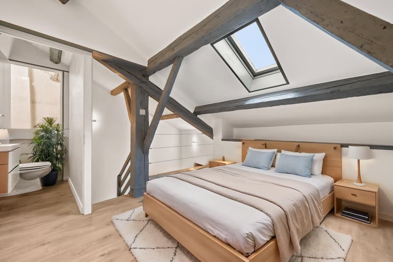 CHARMING DUPLEX ENTIRELY RENOVATED (4)