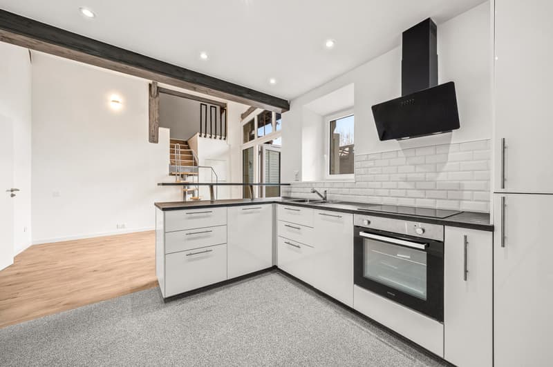 CHARMING DUPLEX ENTIRELY RENOVATED (3)