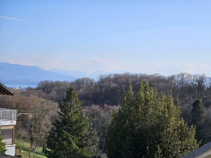 PROXIMITÄT ZU NYON (4)