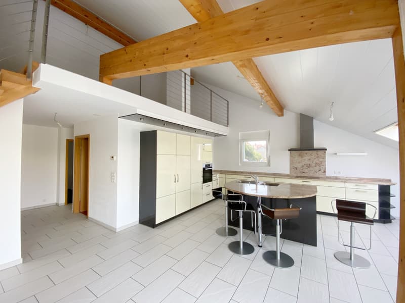 APPARTEMENT ATTIQUE AVEC TERRASSE IDEALEMENT SITUE A ORBE ! (3)