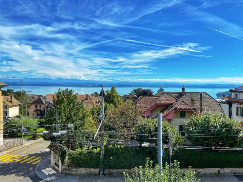 EXCEPTIONAL PROPERTY! STUNNING MANSION (4)