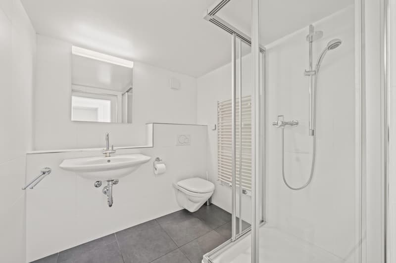 Timeless elegance and privileged living in Lausanne (6)
