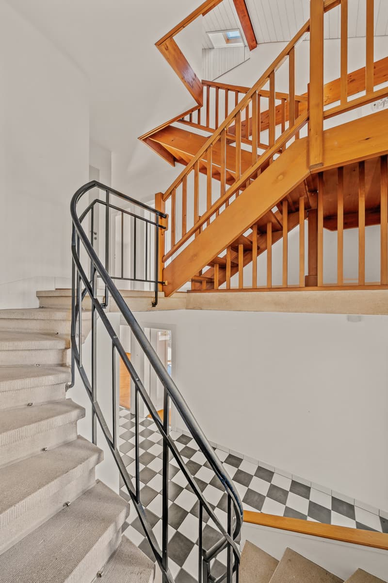 Timeless elegance and privileged living in Lausanne (10)
