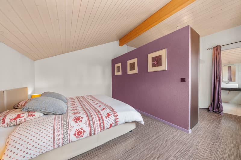 Exclusive 15 minutes from Lausanne! (12)