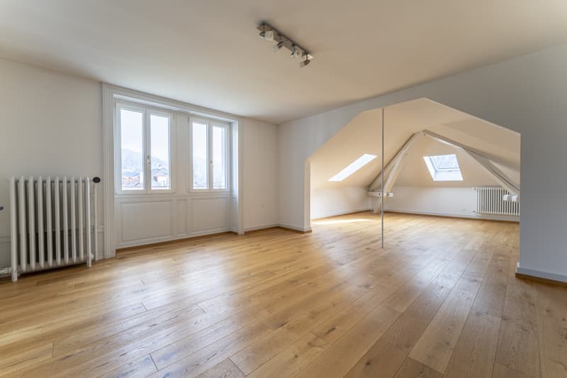 Rare gem in the heart of Vevey in a mansion (3)