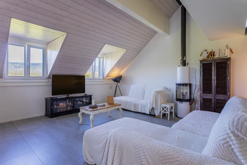Attic apartment 5.5 rooms with mezzanine of 200 m2 for family (2)