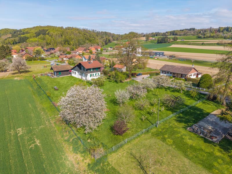 Calm Chalet with Large Garden (1)