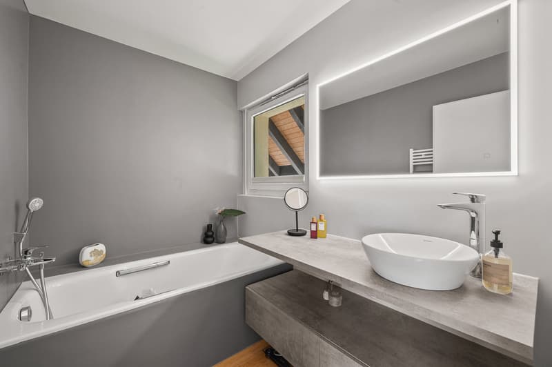Spectacular views and modern comfort in Genolier (13)
