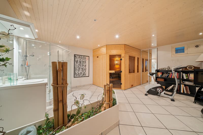 Spectacular views and modern comfort in Genolier (12)