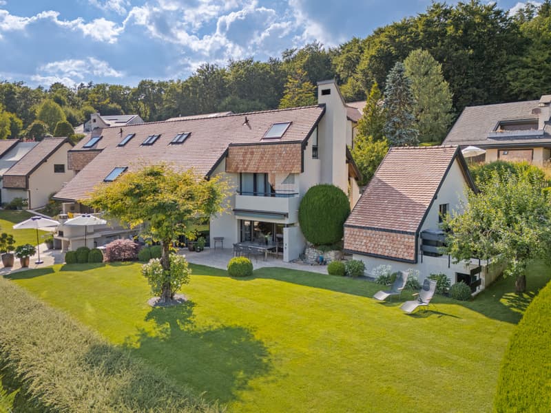 Spectacular views and modern comfort in Genolier (4)
