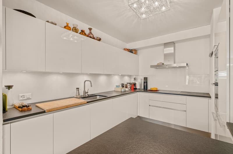 EXCEPTIONAL DUPLEX IN A PRIVILEGED RESIDENTIAL SETTING (3)