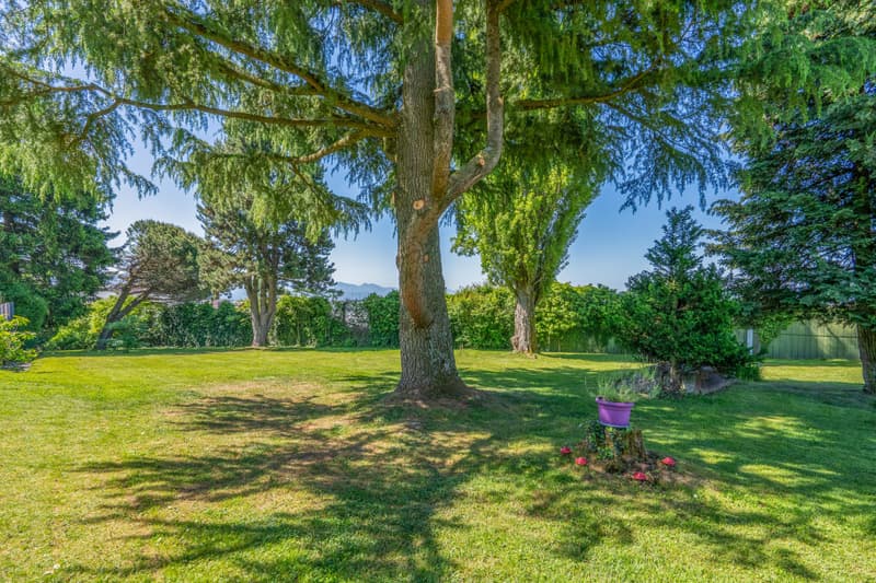 EXCLUSIVE! Building plot in Mont-sur-Lausanne! (1)