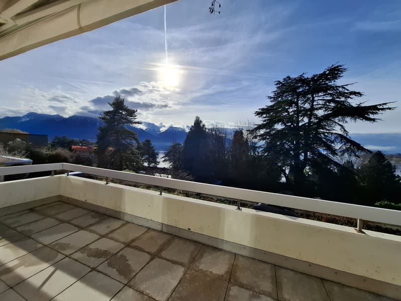 PROXIMMO exclusivity! Exceptional apartment completely renovated! (10)