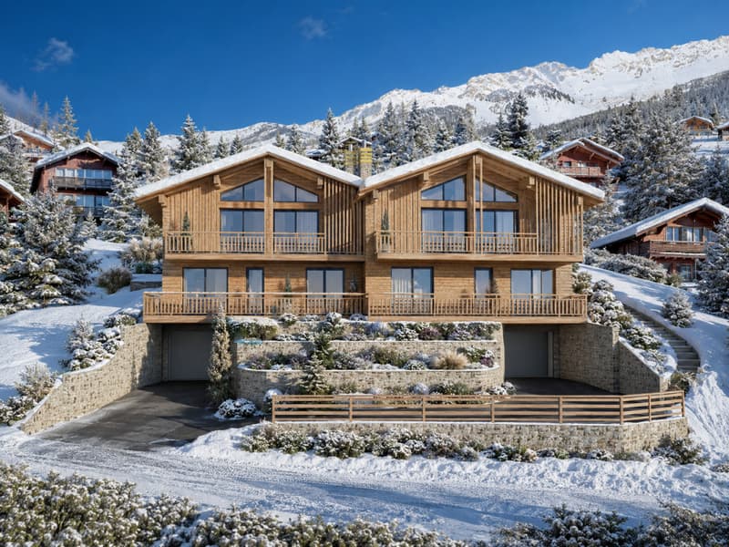 CHALET GEMINI 1308 (10)