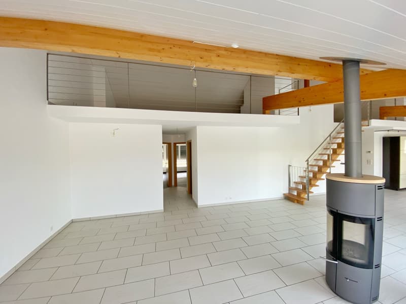 ATTIC APARTMENT WITH TERRACE IDEALLY LOCATED IN ORBE! (7)