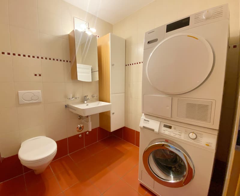 ATTIC APARTMENT WITH TERRACE IDEALLY LOCATED IN ORBE! (12)