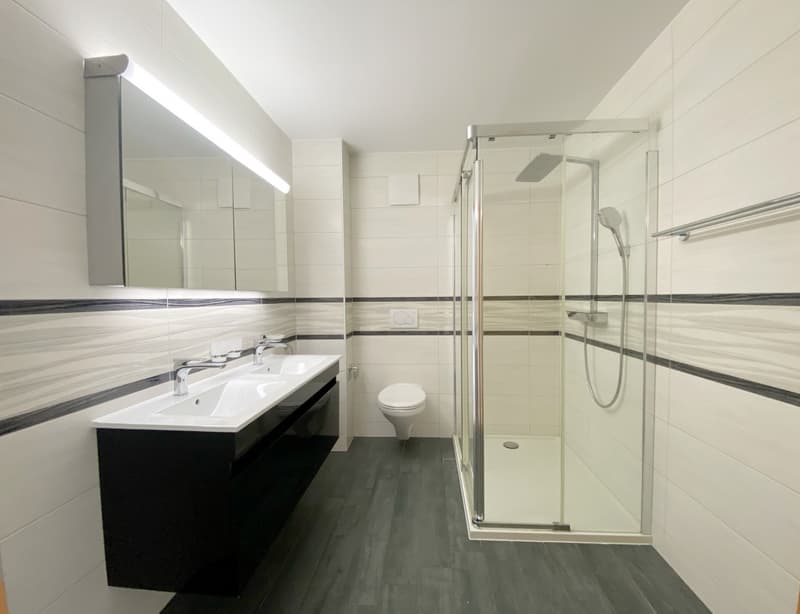 ATTIC APARTMENT WITH TERRACE IDEALLY LOCATED IN ORBE! (8)