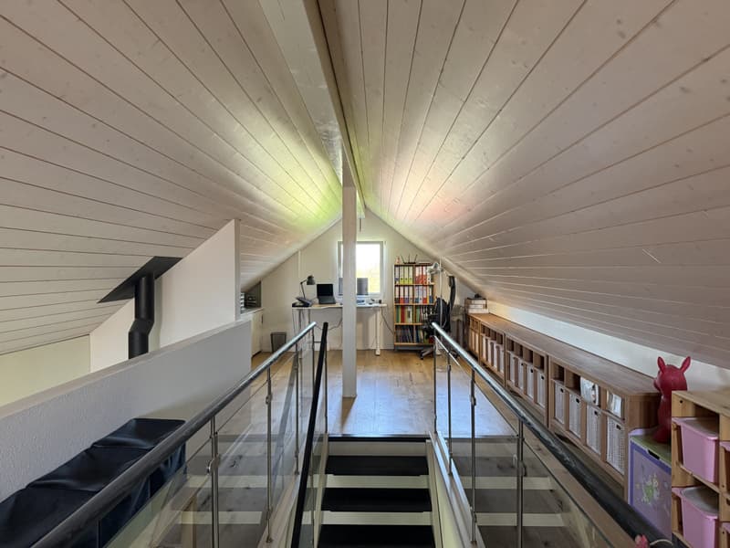 ATTIQUE 5.5 PIECES AVEC MEZZANINE DE 200 M2 POUR FAMILLE (6)