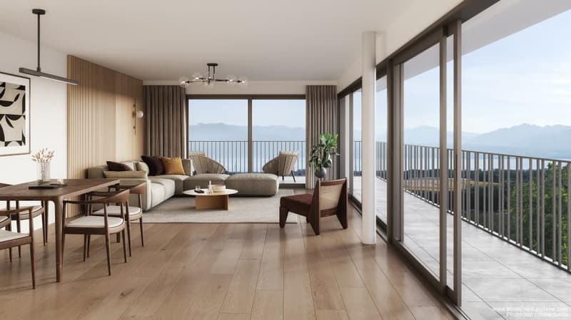 SELTENES NEUES APARTMENT IN YENS (7)