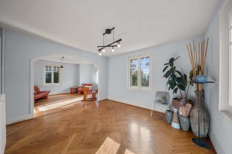 Detached house with garden (4)
