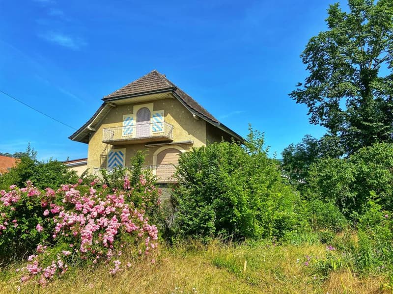 NEAR NEUCHATEL, IN AREUSE, INDIVIDUALLY LOCATED HOUSE (8)