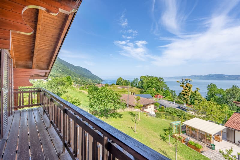 UN PANORAMA ECCEZIONALE SUL LAGO DI GINEVRA (6)