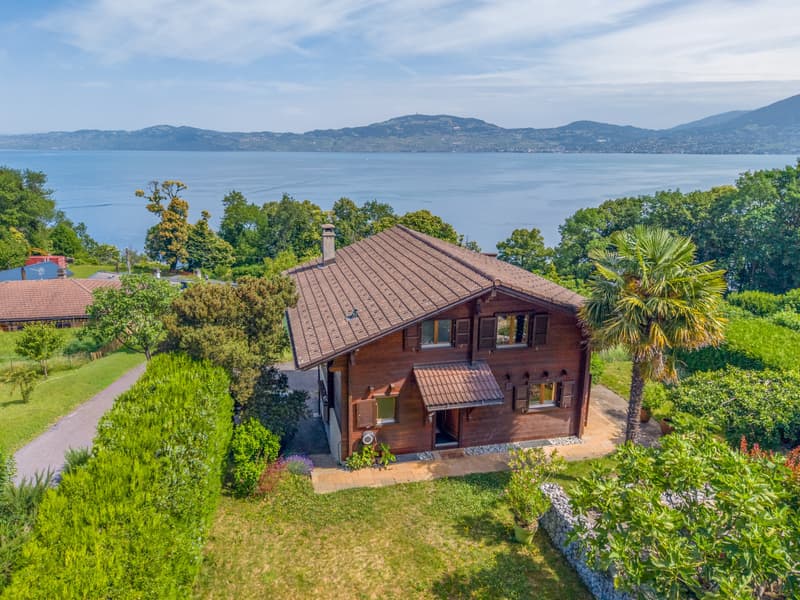 UN PANORAMA ECCEZIONALE SUL LAGO DI GINEVRA (1)