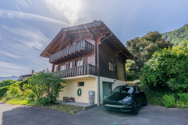 UN PANORAMA ECCEZIONALE SUL LAGO DI GINEVRA (7)