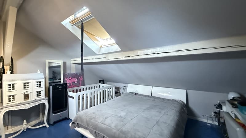 VILLA FOR RENT IDEALLY LOCATED 5 MINUTES FROM LAUSANNE (CRISSIER)! (10)