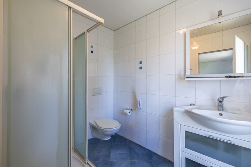 VILLA MITOYENNE 5,5 PIECES PARFAITEMENT SITUEE A CHAVORNAY ! (5)