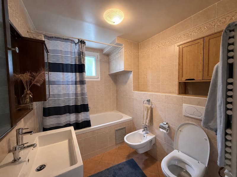 VILLA IN AFFITTO IN POSIZIONE IDEALE, A 5 MINUTI DA LOSANNA (CRISSIER)! (6)