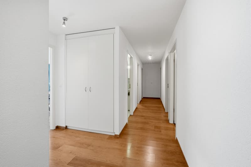A DUE PASSI DALLE RIVE - AMPIO ATTICO CON BALCONE E VISTA LAGO (3)