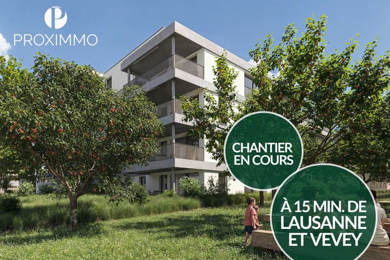 NOUVEAU QUARTIER À 3 MIN D'ORON - CHANTIER EN COURS ! (1)