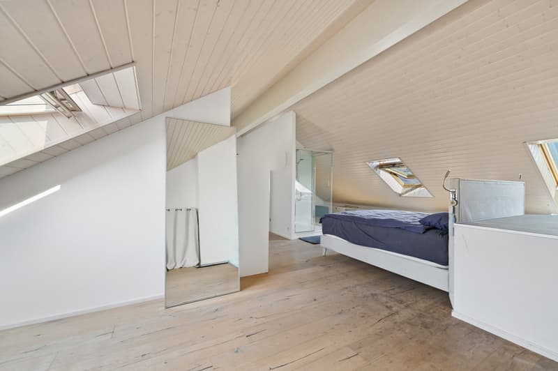 An exceptional duplex in the heart of Gland (7)