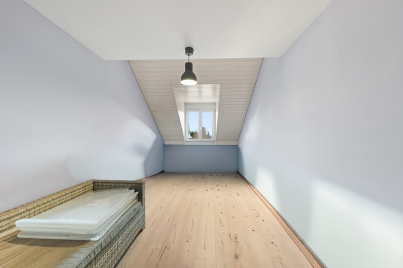 An exceptional duplex in the heart of Gland (6)