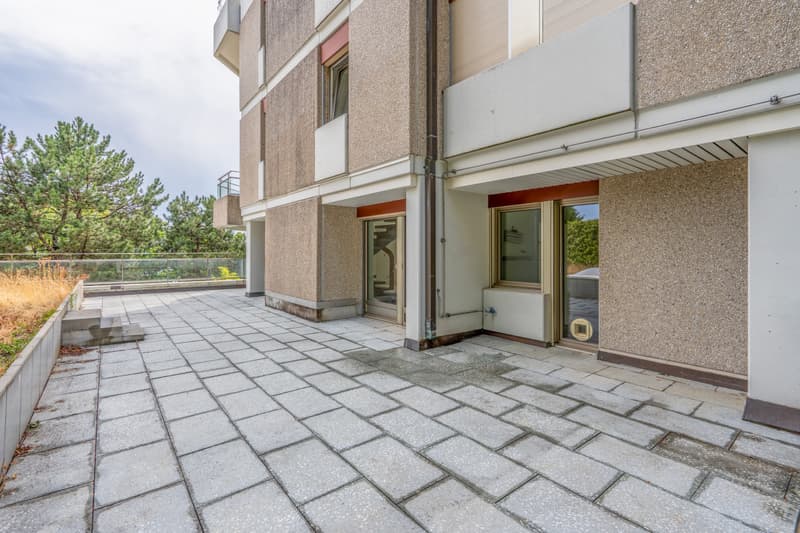 Exceptional duplex with terrace and garden in the heart of Lausanne (2)