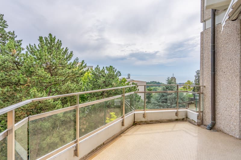 Exceptional duplex with terrace and garden in the heart of Lausanne (9)