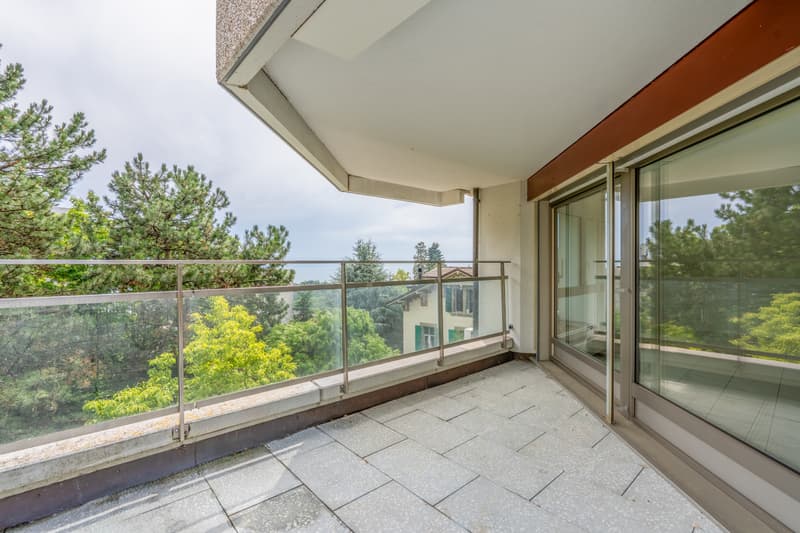 Exceptional duplex with terrace and garden in the heart of Lausanne (3)