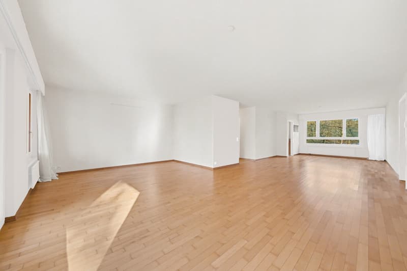 Tout juste rénové! Quartier prisé des Croisettes et tranquillité garantie ! (10)
