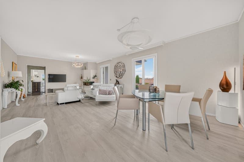 EN BORD DE VIGNE, VILLA AVEC PISCINE À 5 MIN DE MORGES (4)