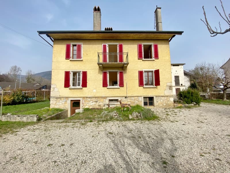 VILLA LOCATIVE DE DEUX APPARTEMENTS A CONCISE ! (2)