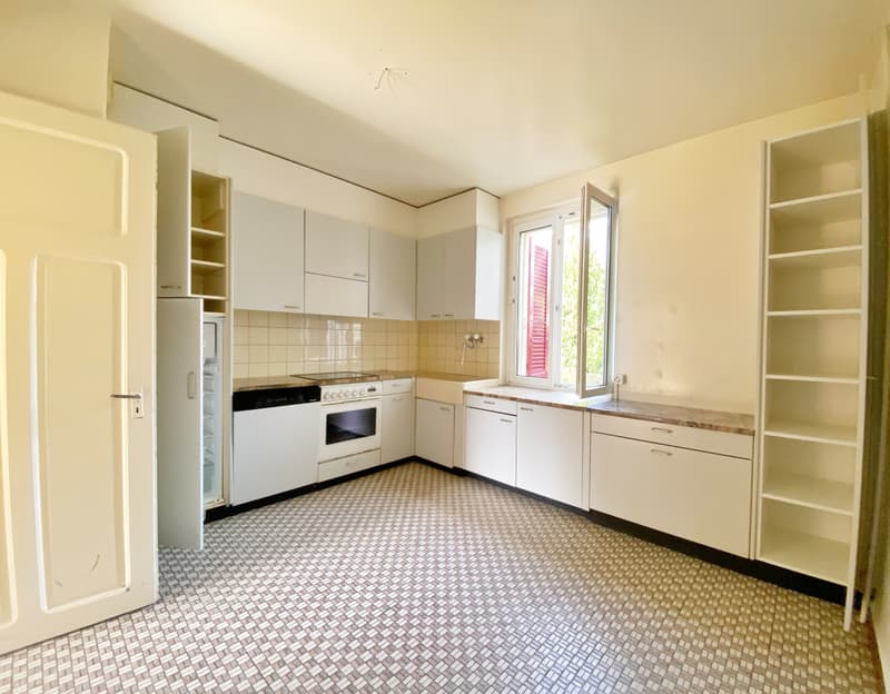 VILLA LOCATIVE DE DEUX APPARTEMENTS A CONCISE ! (3)