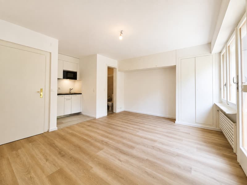 Studio refait à neuf à deux pas du lac et de la gare! (3)